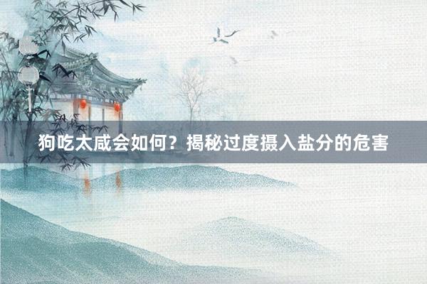 狗吃太咸会如何？揭秘过度摄入盐分的危害